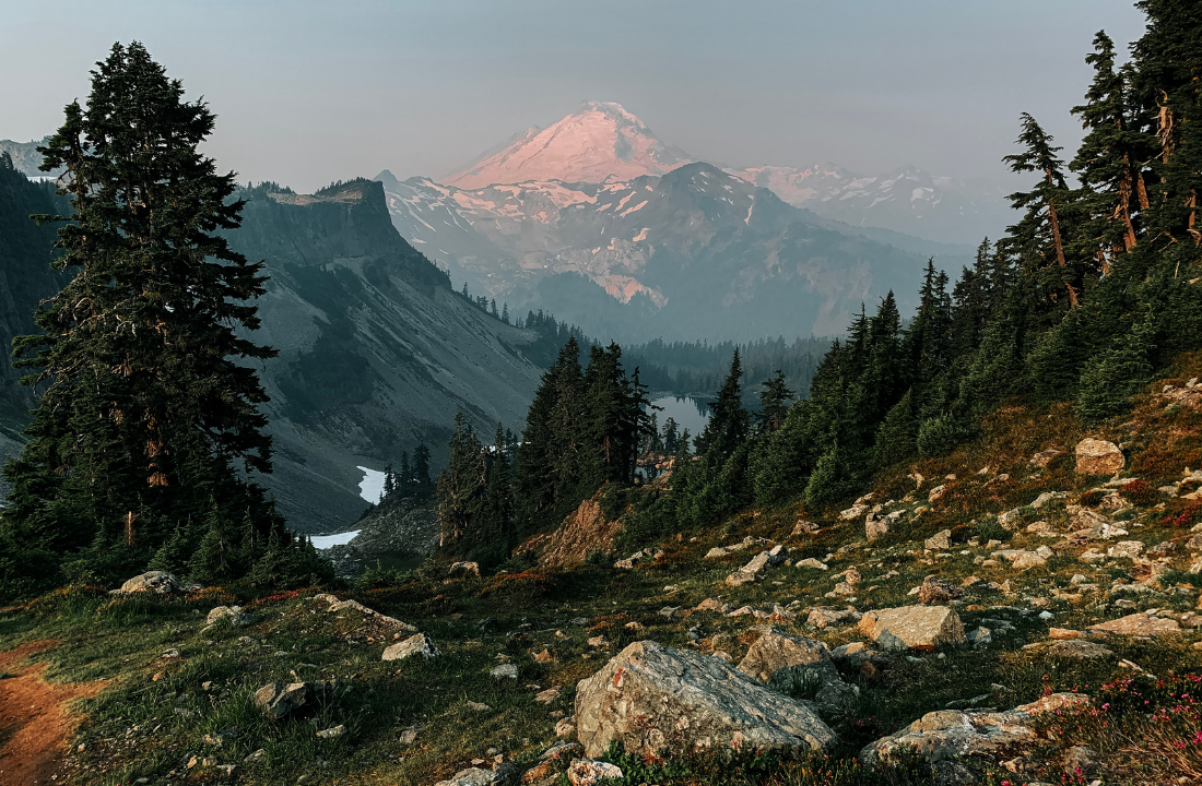 Kulshan (Mt. Baker) from the Ptarmigan Ridge Trail.